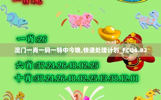 澳门一肖一码一特中今晚,快速处理计划_FCQ6.82