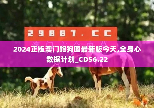 2024正版澳门跑狗图最新版今天,全身心数据计划_CDS6.22