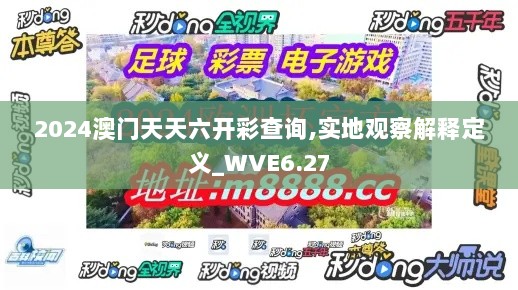 2024澳门天天六开彩查询,实地观察解释定义_WVE6.27