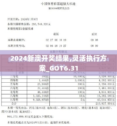 2024新澳开奖结果,灵活执行方案_GOT6.31