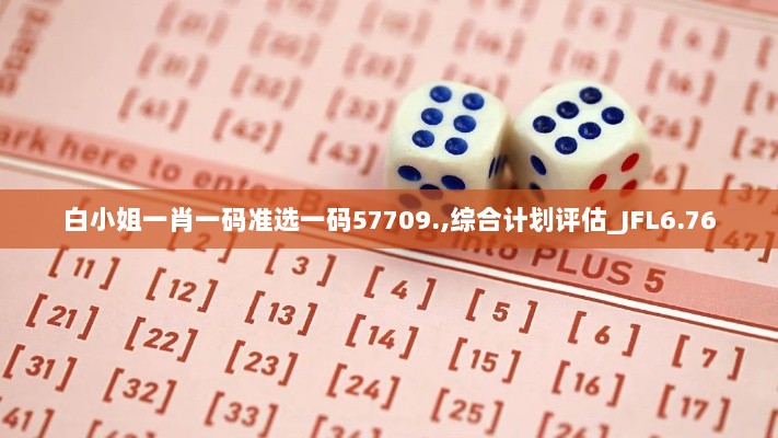 白小姐一肖一码准选一码57709.,综合计划评估_JFL6.76