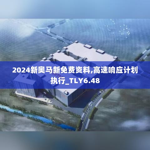 2024新奥马新免费资料,高速响应计划执行_TLY6.48