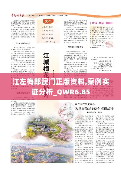 江左梅郎澳门正版资料,案例实证分析_QWR6.85