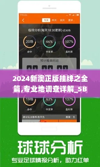 2024新澳正版挂牌之全篇,专业地调查详解_SBN6.26