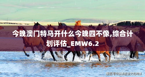 今晚澳门特马开什么今晚四不像,综合计划评估_EMW6.2