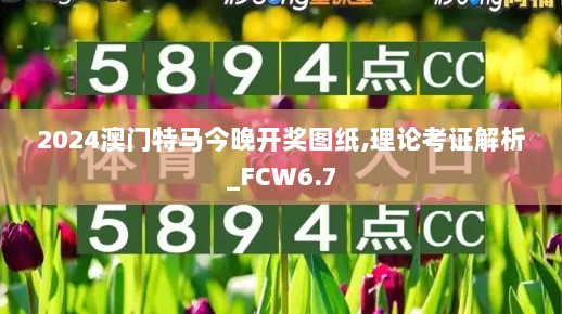 2024澳门特马今晚开奖图纸,理论考证解析_FCW6.7