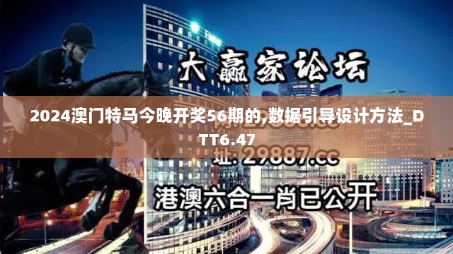 2024澳门特马今晚开奖56期的,数据引导设计方法_DTT6.47