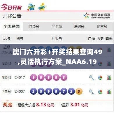 澳门六开彩+开奖结果查询49,灵活执行方案_NAA6.19