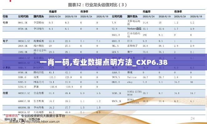 一肖一码,专业数据点明方法_CXP6.38