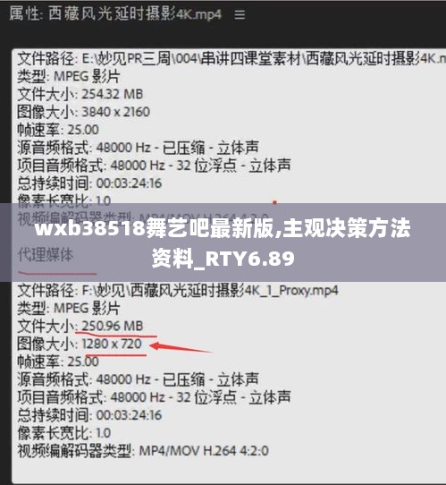 wxb38518舞艺吧最新版,主观决策方法资料_RTY6.89