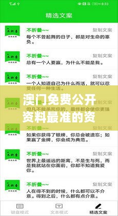 澳门免费公开资料最准的资料331期,经典分析说明_ANT7.23