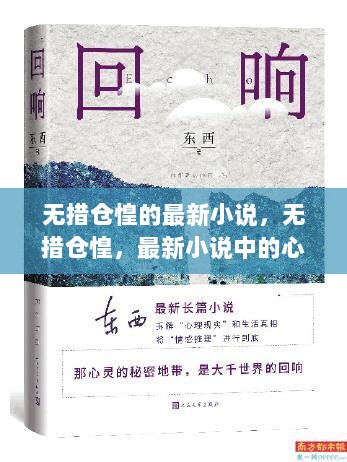 无措仓惶，心灵探索与文学魅力的最新小说