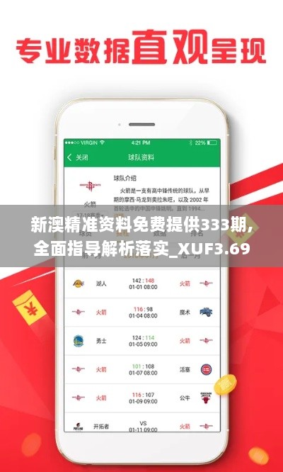 新澳精准资料免费提供333期,全面指导解析落实_XUF3.69