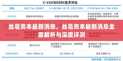 丝毫资本最新消息全面解析与深度评测