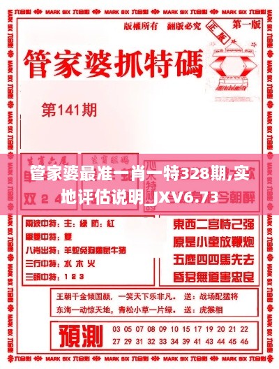 管家婆最准一肖一特328期,实地评估说明_JXV6.73