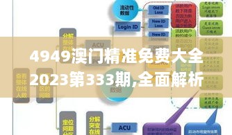 4949澳门精准免费大全2023第333期,全面解析数据执行_WBY7.76