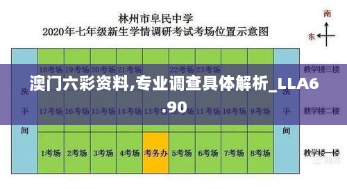 澳门六彩资料,专业调查具体解析_LLA6.90