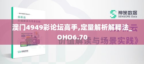 澳门4949彩论坛高手,定量解析解释法_OHO6.70