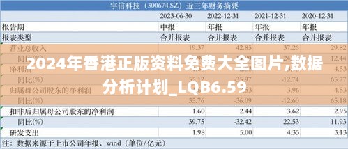 2024年香港正版资料免费大全图片,数据分析计划_LQB6.59