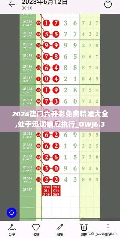 2024澳门六开彩免费精准大全,处于迅速响应执行_OWJ6.3