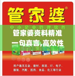 管家婆资料精准一句真言,高效性设计规划_QOQ6.51