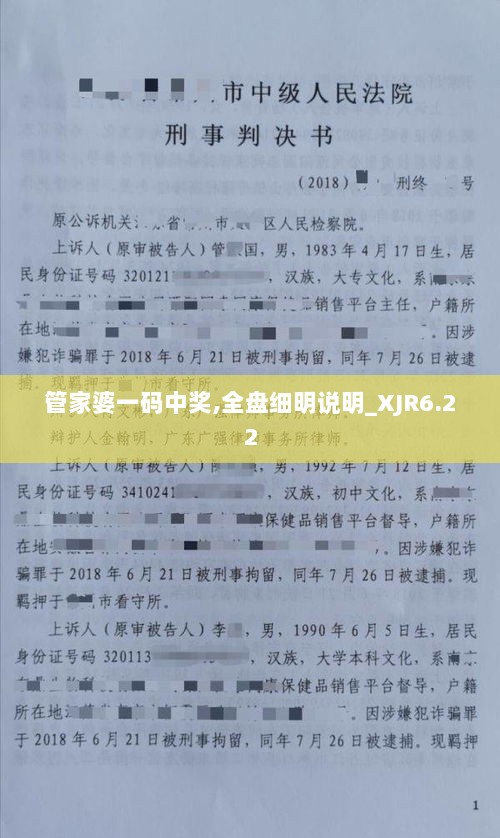 管家婆一码中奖,全盘细明说明_XJR6.22