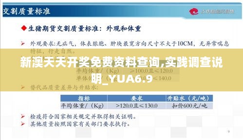 新澳天天开奖免费资料查询,实践调查说明_YUA6.9