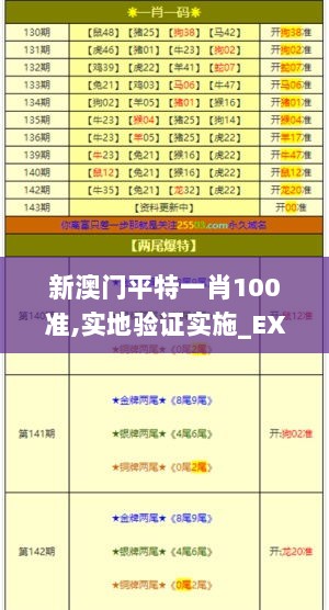 新澳门平特一肖100准,实地验证实施_EXX6.61