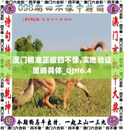 澳门精准正版四不像,实地验证策略具体_QJH6.4