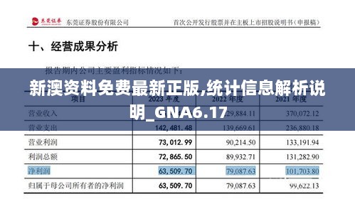 新澳资料免费最新正版,统计信息解析说明_GNA6.17