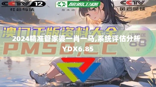 2024精准管家婆一肖一马,系统评估分析_YDX6.85