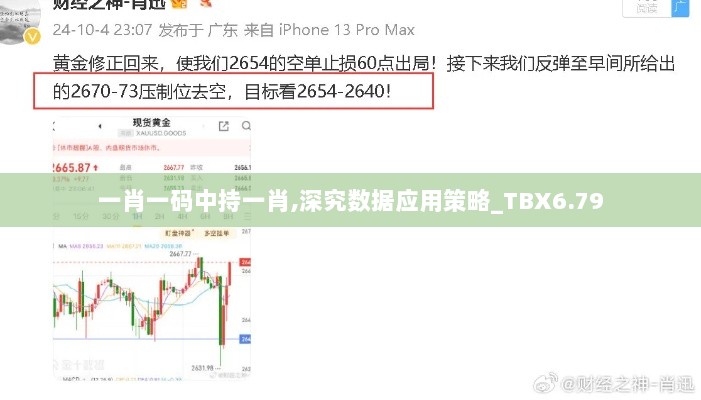 一肖一码中持一肖,深究数据应用策略_TBX6.79