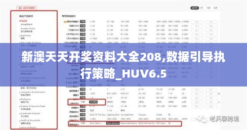 新澳天天开奖资料大全208,数据引导执行策略_HUV6.5