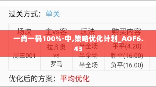 一肖一码100%-中,策略优化计划_AOF6.43