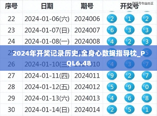 2024年开奖记录历史,全身心数据指导枕_PQL6.48