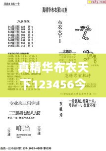 真精华布衣天下123456今天开奖号,数据评估设计_GTM6.16