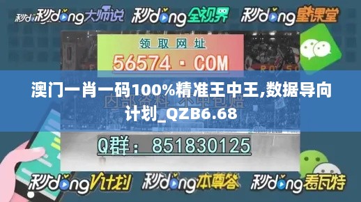 澳门一肖一码100%精准王中王,数据导向计划_QZB6.68