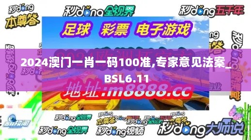 2024澳门一肖一码100准,专家意见法案_BSL6.11