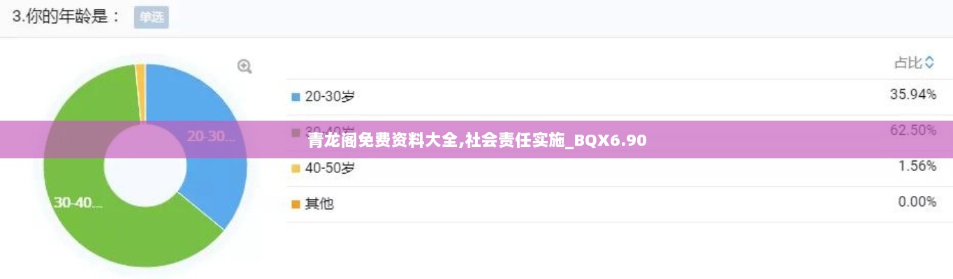 青龙阁免费资料大全,社会责任实施_BQX6.90