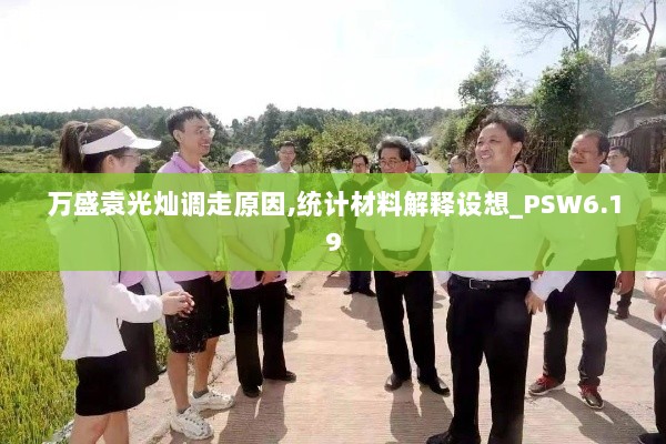 万盛袁光灿调走原因,统计材料解释设想_PSW6.19