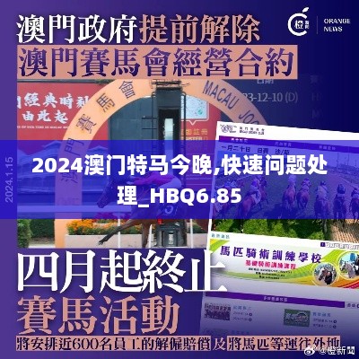 2024澳门特马今晚,快速问题处理_HBQ6.85