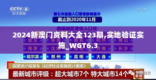 2024新澳门资料大全123期,实地验证实施_WGT6.3