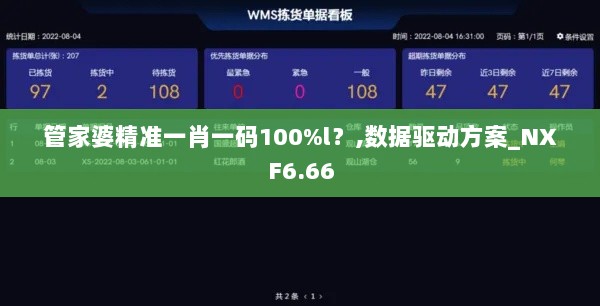 管家婆精准一肖一码100%l？,数据驱动方案_NXF6.66