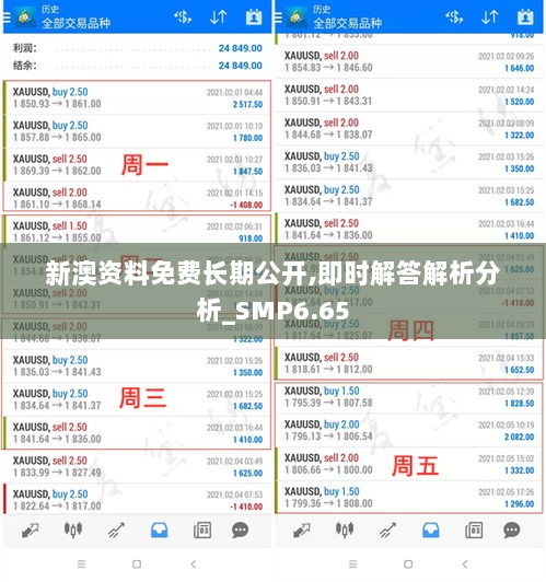 新澳资料免费长期公开,即时解答解析分析_SMP6.65