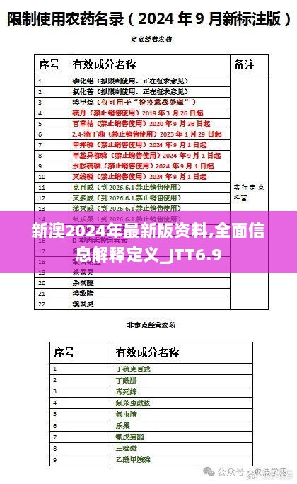 新澳2024年最新版资料,全面信息解释定义_JTT6.9