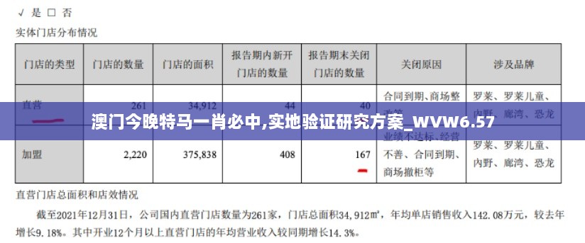 澳门今晚特马一肖必中,实地验证研究方案_WVW6.57