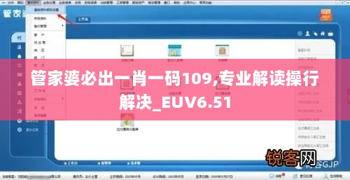 管家婆必出一肖一码109,专业解读操行解决_EUV6.51