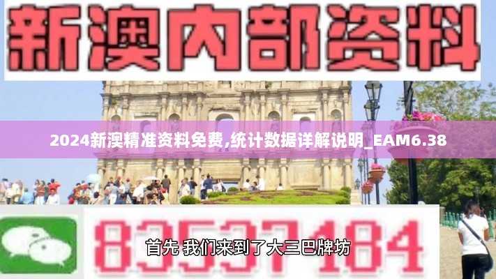 2024新澳精准资料免费,统计数据详解说明_EAM6.38