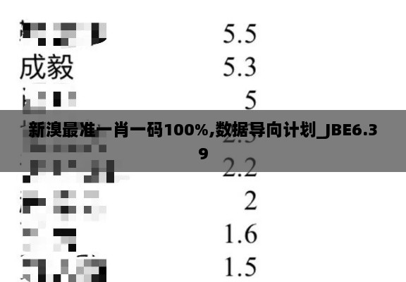 新溴最准一肖一码100%,数据导向计划_JBE6.39