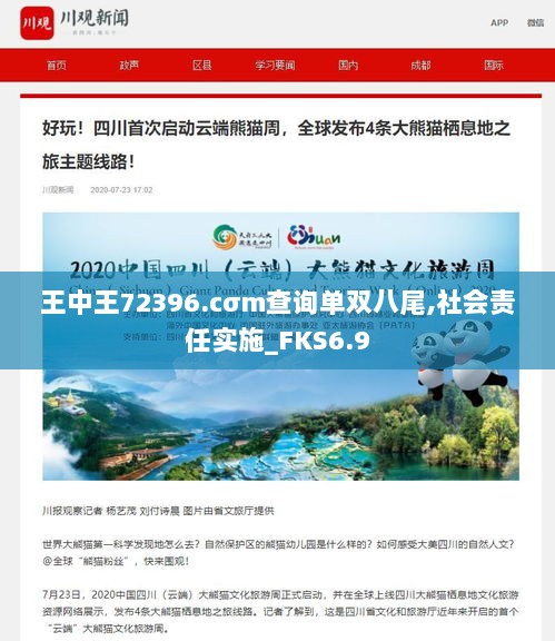 王中王72396.cσm查询单双八尾,社会责任实施_FKS6.9